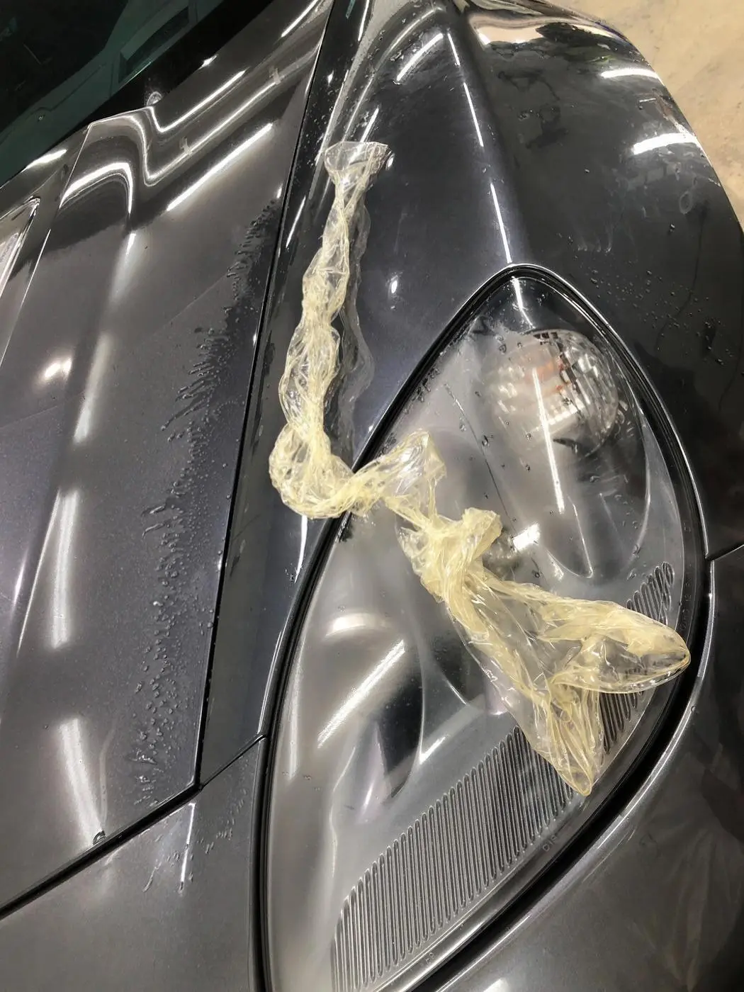 Gray Corvette C6 ZR1 detailed by Derrick's Details in Austin, photo 13 of 25