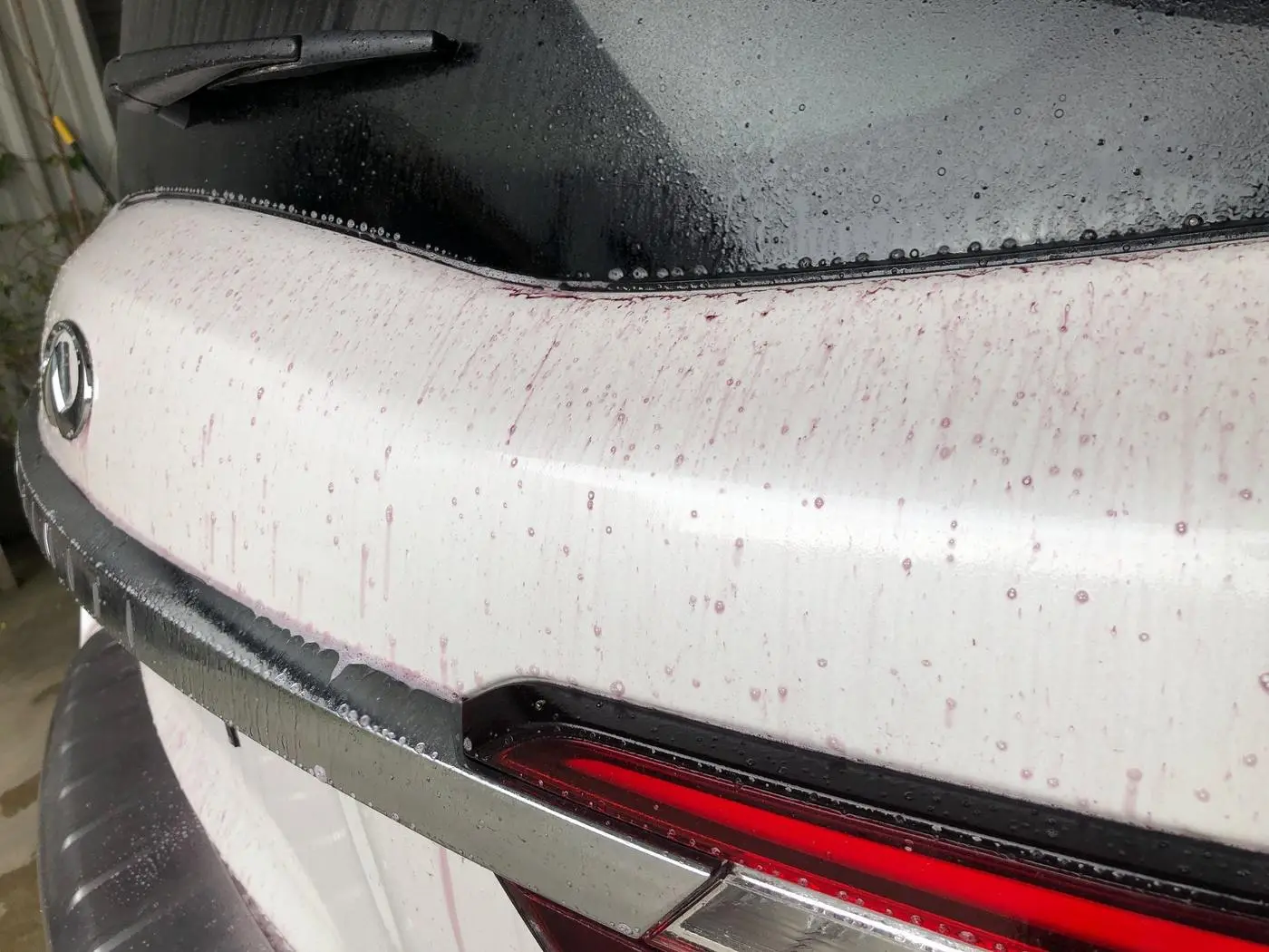 White Infiniti QX80 detailed by Derrick's Details in Austin, photo 16 of 18